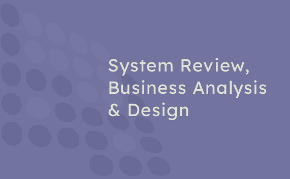 System Review, Business Analysis & Design